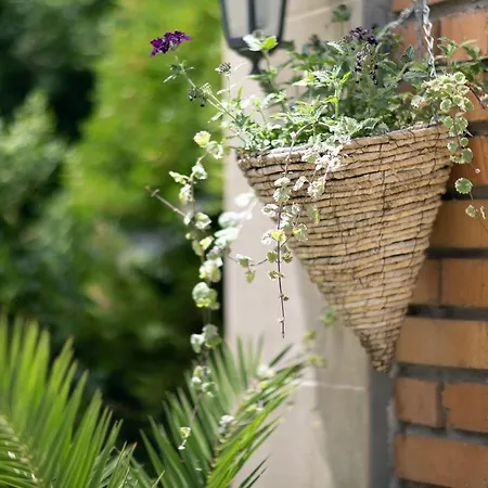 Naslada Μπαλτσίκ