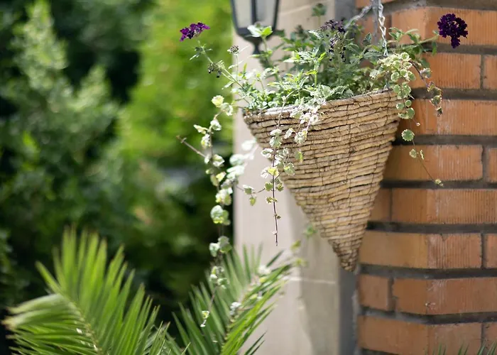 Naslada Μπαλτσίκ